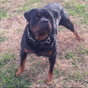 Meet your Posher, Shawn